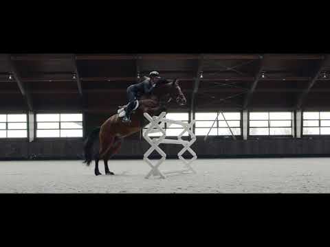 Jumping horse at x-bionic® sphere I Šamorín I Slovakia