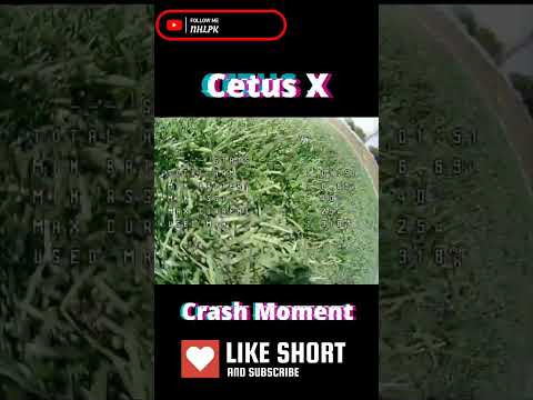 Cetus X Crash Moments          #shortvideo #shorts #youtubeshorts