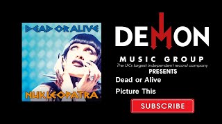 Dead or Alive - Picture This