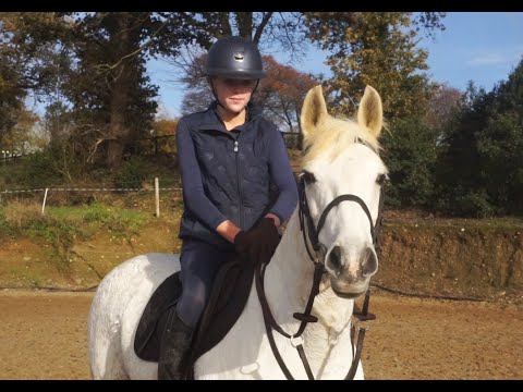 🌟 143cm Pony Club Connemara 🌟 - Image 2