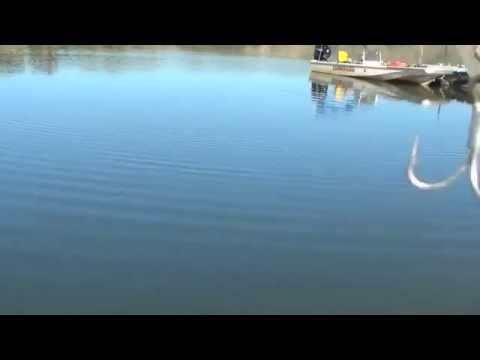 New Deps 250 Slide Swimmer