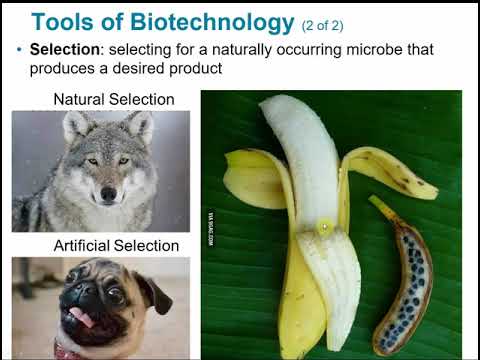 2117 Chapter 9 - Biotechnology