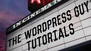 WordPress Basics - Install a Theme