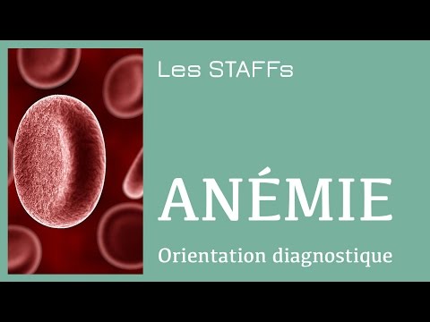 Anemia infecțioasă felină (hemobartonellosis)