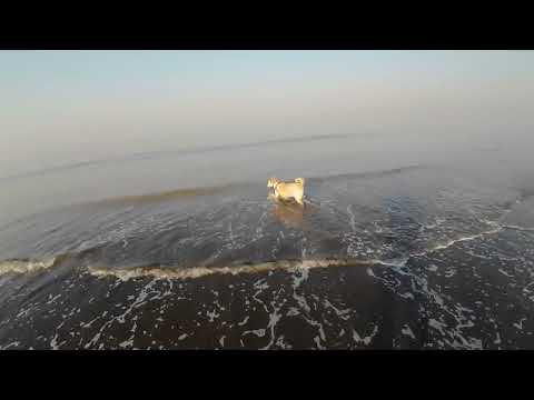 Suruchi Beach - Vasai. 26 Feb 2023