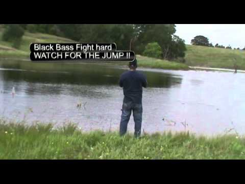 Greg Fishing Texas Style in a Pond AKA Tank -Catching Black Bass the Easy Way