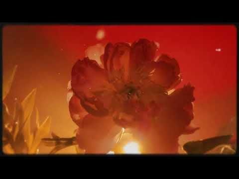 Youtube Video 7LbUe2RAzlM