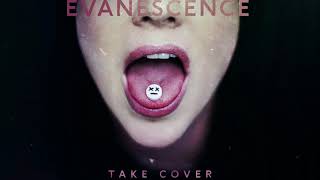 Take Cover Music Video