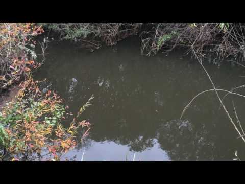 La Tablita Negocios Rurales vende Chacra en Florida