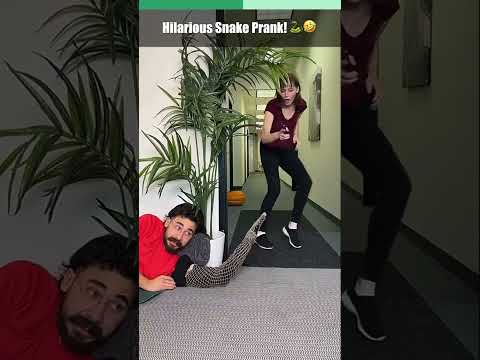 Her Jaw DROPPED… 😂 #funny #comedy #prank