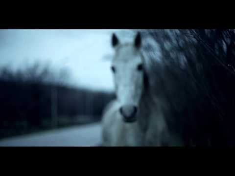 MOONLOVERZ - MEDITAZIONE (Official Video)