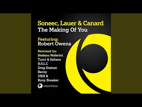 The Making of You (Stefano Noferini Mix)