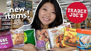 TRADER JOE’S FOOD HAUL! Trying NEW Trader Joe's Frozen Foods & Snacks 2022