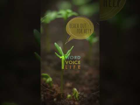 Poster image for &ldquo;A Moment Doesn’t Last Forever&rdquo; video