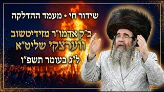 מעמד ההדלקה ל"ג בעומר תשפ"ו בראשות האדמו"ר מזידיטשוב ווערצקי שליט"א