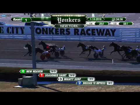 Seasoned Saint 1/14/18 #TeamAllard #harnessracing #horseracing