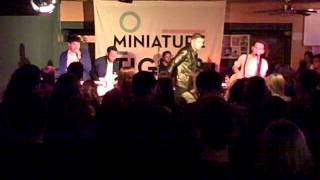 Miniature Tigers -- Oblivious