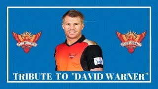 TRIBUTE TO DAVID WARNER | SRH | JONAM IAS