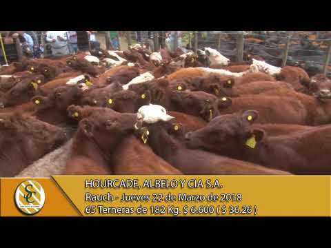22-03-18 Venta de Hembras - Hourcade, Albelo y Cia S.A. - Rauch.