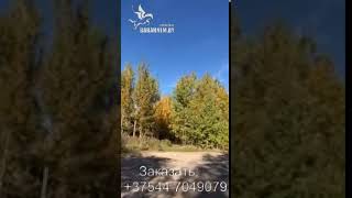 Видео Петарды Корсар 8 AHTUNG (K00208) 7Le5Q3HxSks