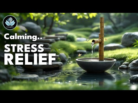 Timeless Calm Piano & Flowing Water 🌿 Relaxing Garden Music for Stress Relief