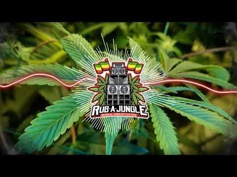 🟩🟨🟥 Benny Page Ft, Doktor - Warm Dem