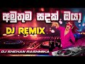 Amuthuma Sandak Oya | New Trending Song | Nethmini Herath | DJ REMIX | 2023 | Papare & Dolki Remix