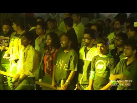 DNPB at Rainbow Music Festival 2015