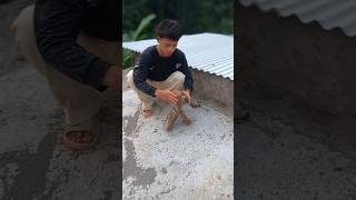 Download lagu The car is downstairs and Ocoy is upstairs playing with rocks❗️🥰😱❗️ mp3