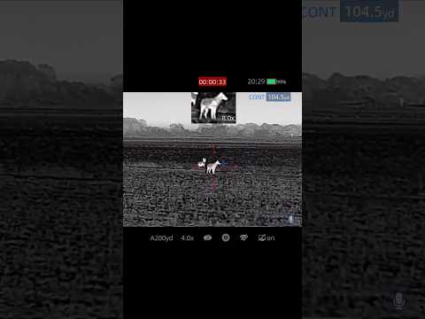 RL42R Review by Infiray Outdoor