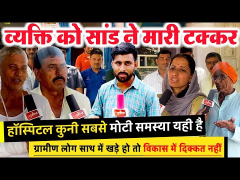 तोगड़ा पंचायत में आवारा पशुओं का आतंक, अपने पशुओं को गांव में ना छोड़े (सरपंच) ! #khabariyo