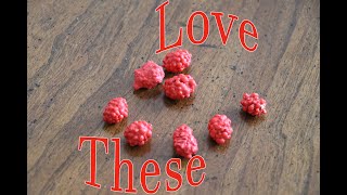 French Burnt Peanuts - Like Them?