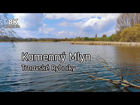 Kamenný Mlyn - Trnavské Rybníky - Trnava 🇸🇰 8K Slovakia | Tip na výlet | Kamenáč Požiar 2022