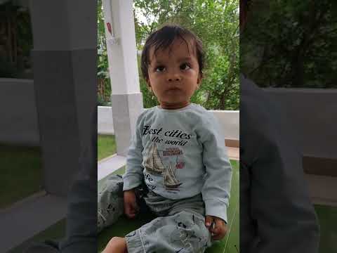 chhote nawab❣️❣️🌲