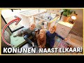 WE ZETTEN DE KONiJNEN KOOiEN NAAST ELKAAR EN DiT iS WAT ER GEBEURD ?✌? | Bellinga Vlog #2354