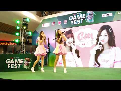 Kaimook Cm Cafe & Emma Cm Cafe : ทาสแมว @ Central Ladprao【4K】
