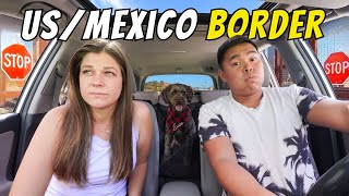Driving Into Mexico With Our Dog - First 24 Hours in Mexico