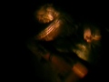 The Dresden Dolls - The Gardener (Fan Video)