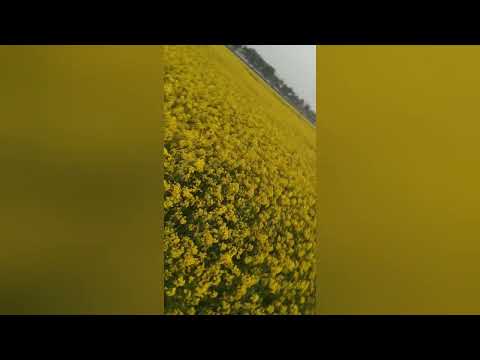 Beautiful Bangladesh @organicnetworks4881