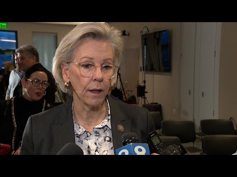 State will support proposal for Rays stadium at Hillsborough College