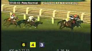 Lord Marty Clásico Islas Malvinas 2011 (L) Hipódromo San Isidro