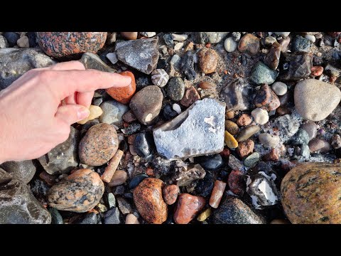 [4k UHD] Die beste Tour des Jahres - Fossilien suchen an der Ostsee