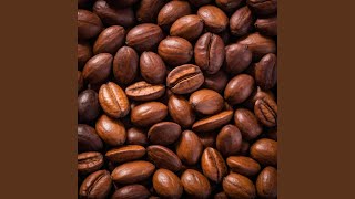 Chocolatier's Dream