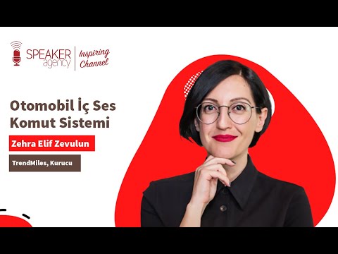Video Title