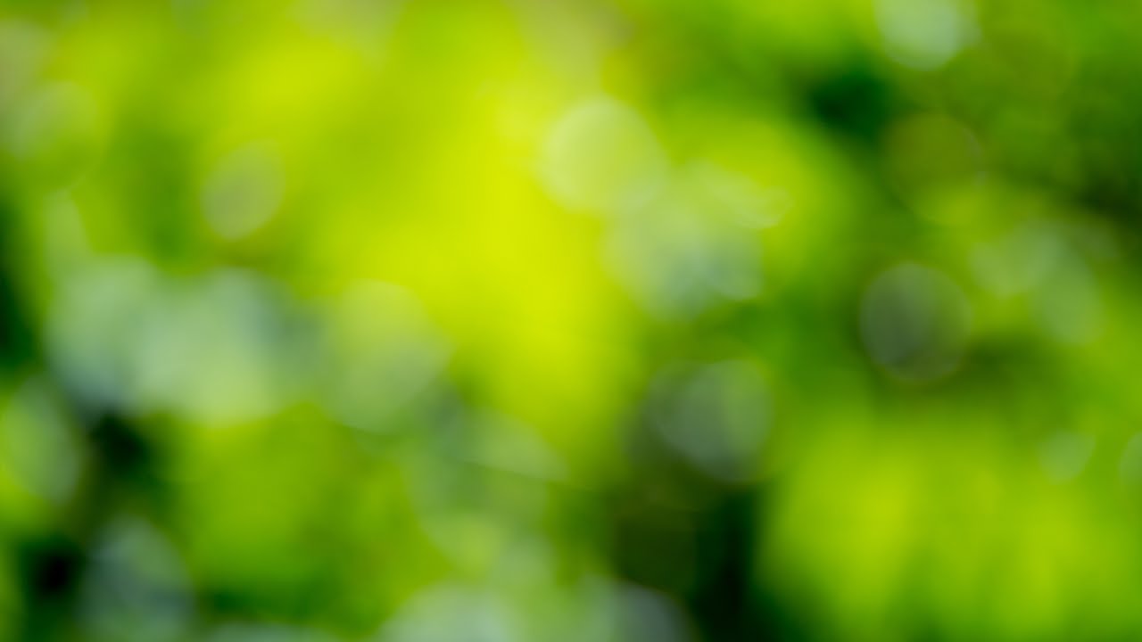 Maximize the Influence of Biomaterials in Tissue Engineering