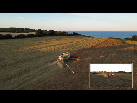 Claas Lexion 8800 an der Ostsee | Raps Ernte 2022