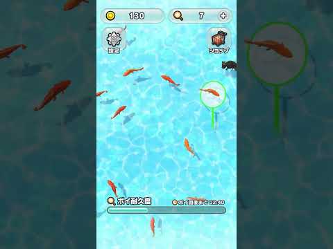 金魚すくい DX