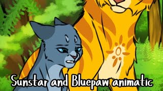 Sunstar and Bluepaw animatic