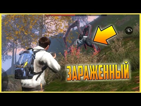 СИЛЬНЫЙ БОСС В ОСЕННЕМ ЛЕСУ! LifeAfter: Night falls