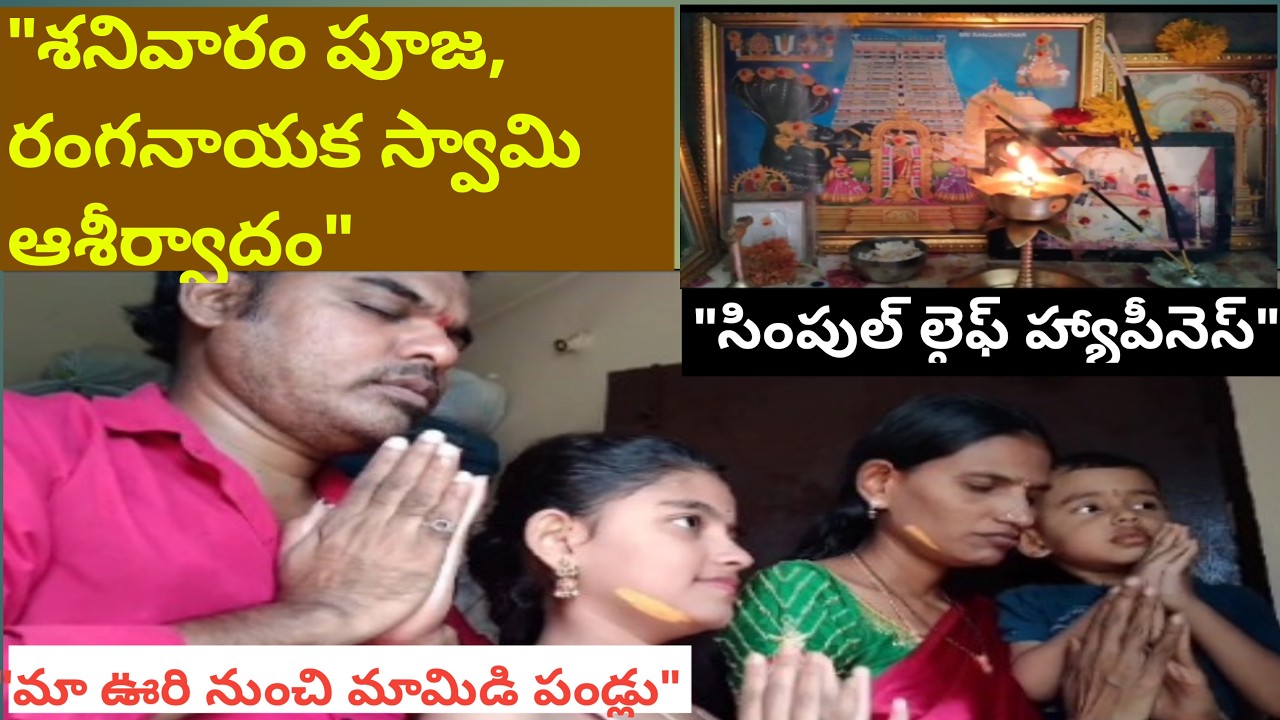 శనివారం ప్రత్యేక పూజ 🙏 | రంగనాయక స్వామి ఆశీర్వాదం + గ్రామం నుంచి మామిడి పండ్లు 🥭 | Daily Vlog